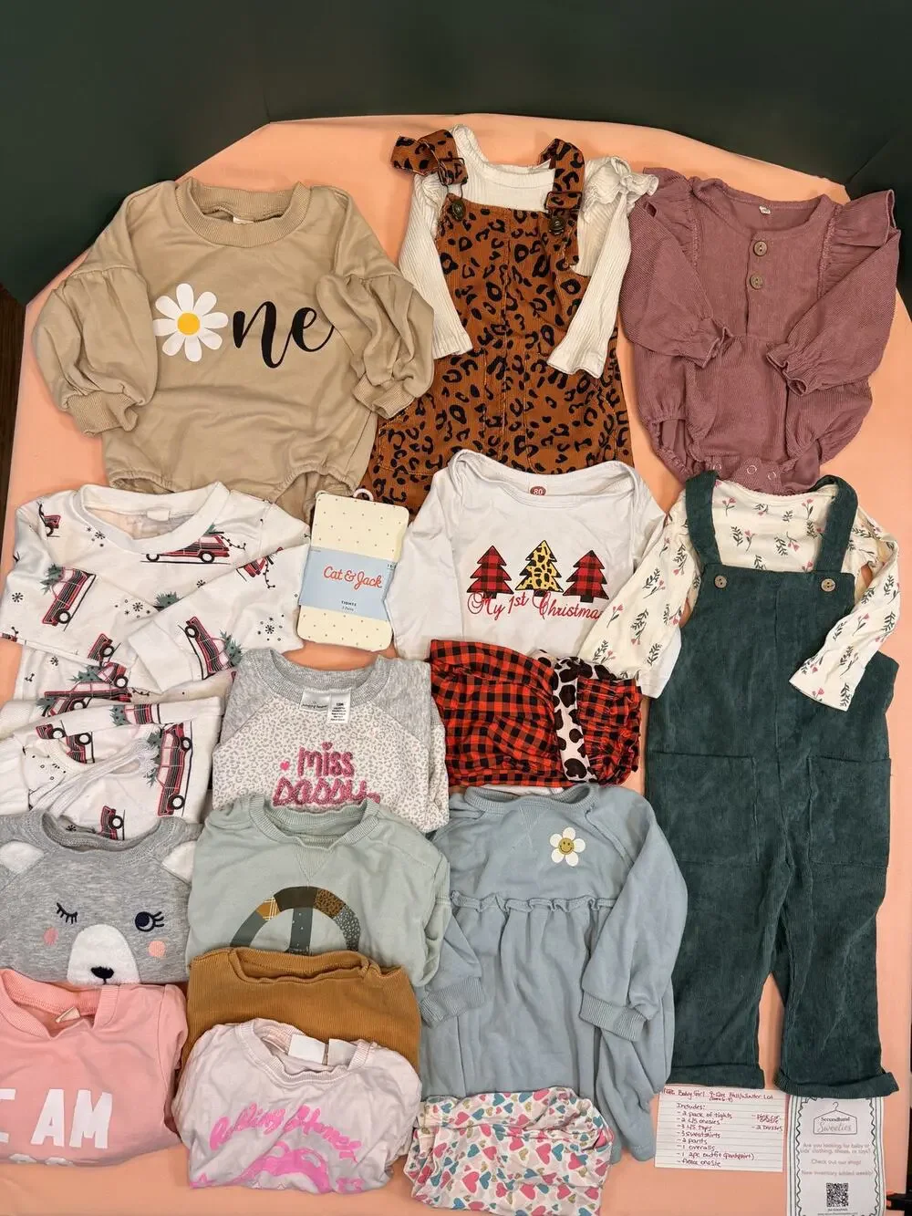 Baby Girl 6-9, 9-12M Fall/Winter Clothing Lot – Dresses, Tops & More #686